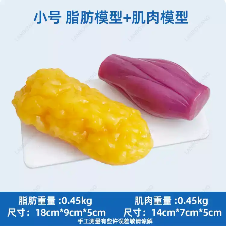 Répliques de Muscles et Graiss - Nutrition In Fitness avis et prix